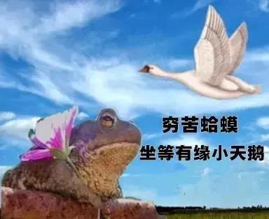 2021跨年夜有空吗癞蛤蟆表情包(暂未上线)截图         成版人抖音