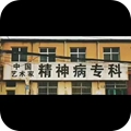 中国艺术家精神病专科图片