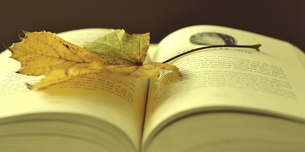 免费小说软件大全