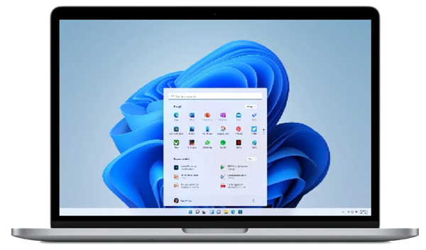 Windows11