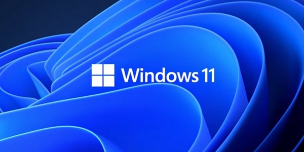 windows11各版本区别介绍