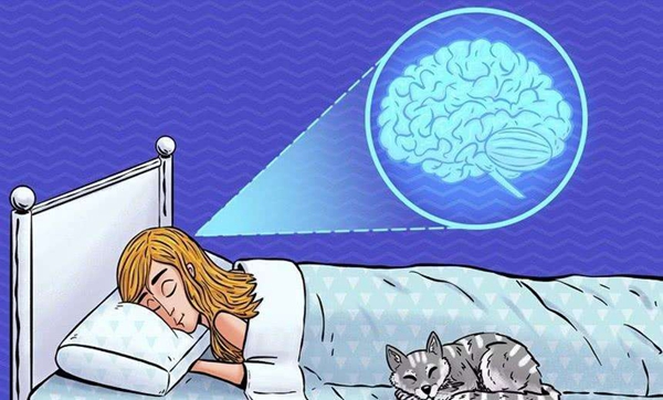 深度睡眠游戏大全