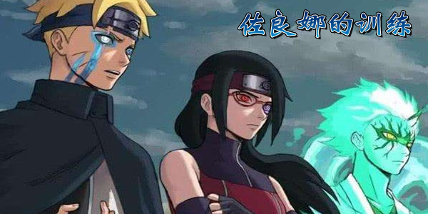 佐良娜的训练游戏大全