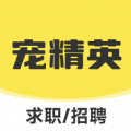 宠精英招聘下载