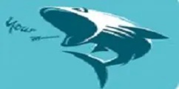 鲨鱼搜索APP大全