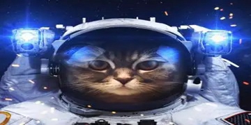 喵星人游戏大全