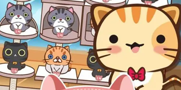 猫游戏大全