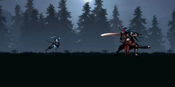 忍者格斗游戏大全