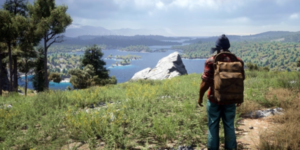 荒野求生游戏大全