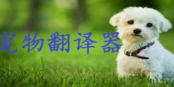 动物翻译app大全