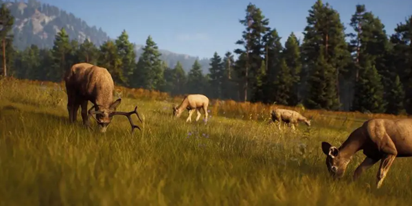 狩猎游戏版本大全