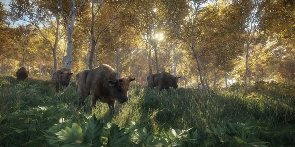 打猎游戏版本大全