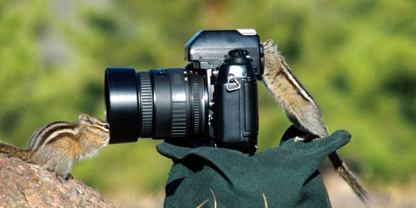 超火的拍照app大全