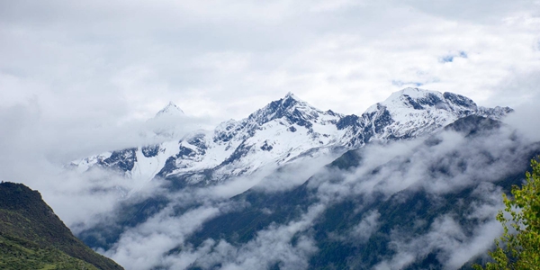 免费素材软件大全