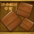 小小解谜专家