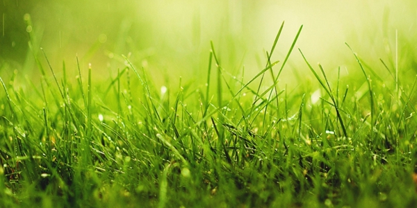 手机动态壁纸软件推荐