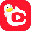 点淘app手机版