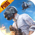 PUBG国际服地铁逃生模式手机版