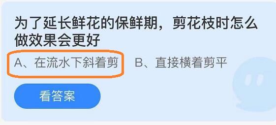 为了延长鲜花的保鲜期剪花枝时怎么做效果会更好