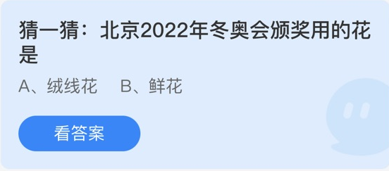 猜一猜北京2022年冬奥会颁奖用的花是