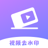极速去水印大师下载