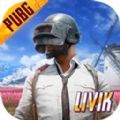 pubg地铁逃生正版