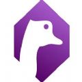 Amethyst下载