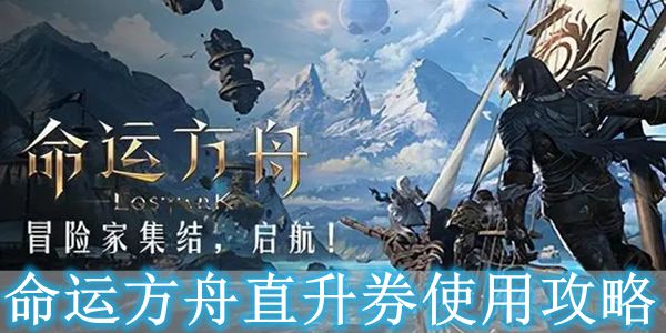 命运方舟直升券怎么用