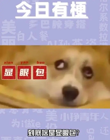 显眼包这个梗怎么来的