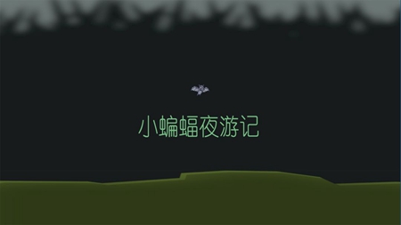 小蝙蝠夜游记