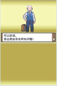 口袋妖怪白金493游戏