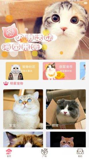 猫咪社区app4